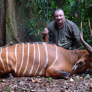 Bongo hunted in Cameroon with Club Faune