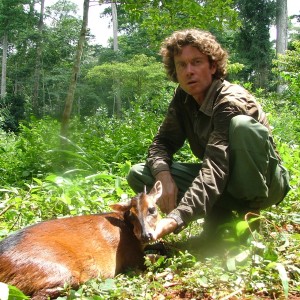 Red-Flanked Duiker hunted in Cameroon with Club Faune