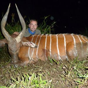 Bongo hunted in Cameroon with Club Faune