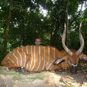 Bongo hunted in Cameroon with Club Faune