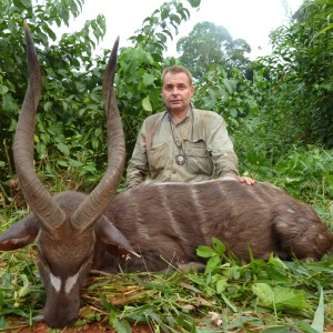 Western Sitatunga hunted in Cameroon with Club Faune