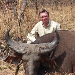 West African Savannah Buffalo hunted in Cameroon with Club Faune