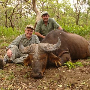 Central African Savannah Buffalo hunted in Central Africa with Club Faune