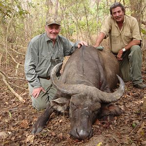 Central African Savannah Buffalo hunted in Central Africa with Club Faune