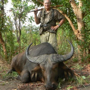 Central African Savannah Buffalo hunted in Central Africa with Club Faune