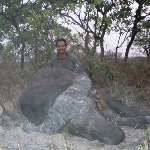 Central African Savannah Buffalo hunted in Central Africa with Club Faune