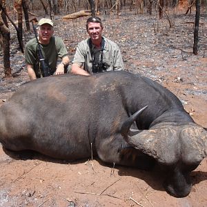 Central African Savannah Buffalo hunted in Central Africa with Club Faune