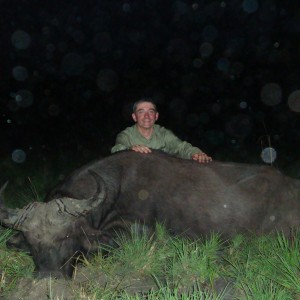 Central African Savannah Buffalo hunted in Central Africa with Club Faune