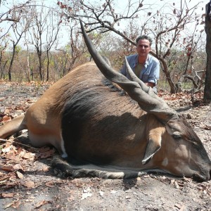 Lord Derby Eland hunted in Central Africa with Club Faune