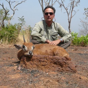 Oribi hunted in Central Africa with Club Faune