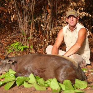 Yellow-Backed Duiker hunted in Central Africa with Club Faune