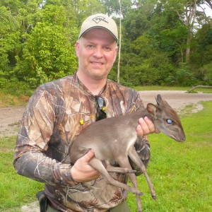 Blue Duiker hunted in Central Africa with Club Faune