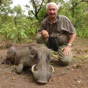 Warthog hunted in Central Africa with Club Faune