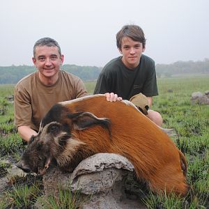 Red River Hog hunted in Central Africa with Club Faune