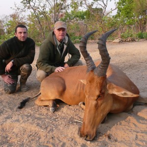 Lelwel Hartebeest hunted in Central Africa with Club Faune