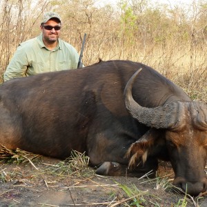 Central African Savannah Buffalo hunted in Central Africa with Club Faune