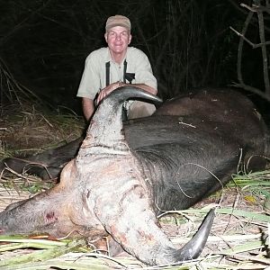 Central African Savannah Buffalo hunted in Central Africa with Club Faune