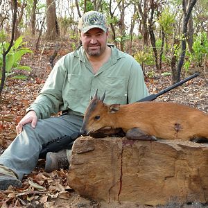 Red-Flanked Duiker hunted in Central Africa with Club Faune