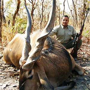 Lord Derby Eland hunted in Central Africa with Club Faune