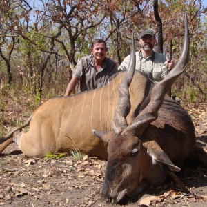 Lord Derby Eland hunted in Central Africa with Club Faune