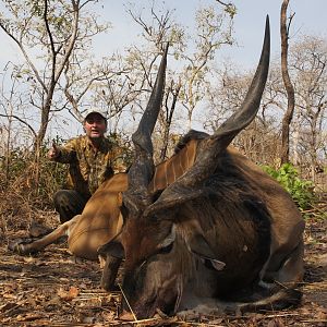 Lord Derby Eland hunted in Central Africa with Club Faune