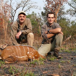 Harnessed Bushbuck hunted in Central Africa with Club Faune