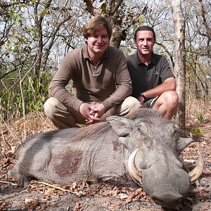 Warthog hunted in Central Africa with Club Faune