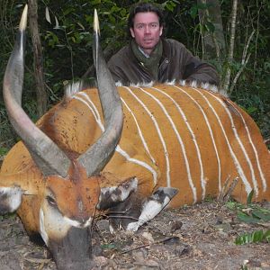 Bongo hunted in Central Africa with Club Faune