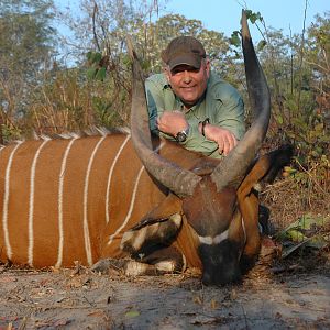 Bongo hunted in Central Africa with Club Faune