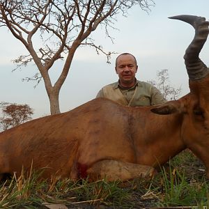 Lelwel Hartebeest hunted in Central Africa with Club Faune