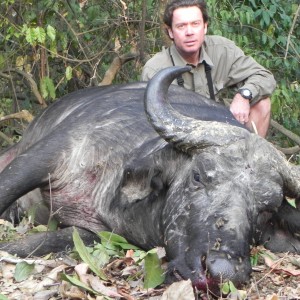 Central African Savannah Buffalo hunted in Central Africa with Club Faune