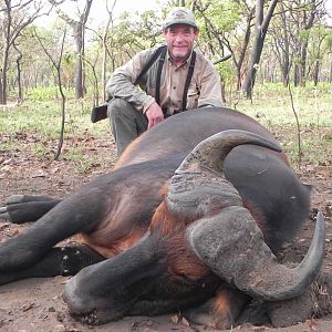 Central African Savannah Buffalo hunted in Central Africa with Club Faune