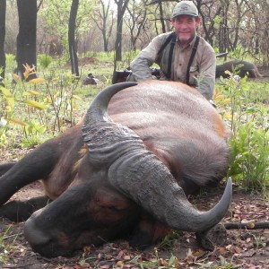 Central African Savannah Buffalo hunted in Central Africa with Club Faune