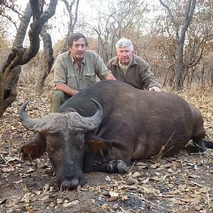 Central African Savannah Buffalo hunted in Central Africa with Club Faune