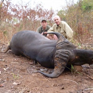 Central African Savannah Buffalo hunted in Central Africa with Club Faune