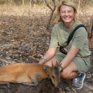 Red-Flanked Duiker hunted in Central Africa with Club Faune