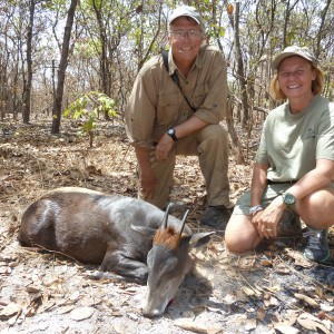 Yellow-Backed Duiker hunted in Central Africa with Club Faune