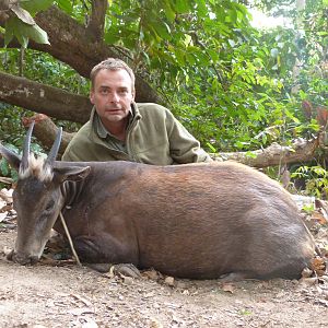 Yellow-Backed Duiker hunted in Central Africa with Club Faune