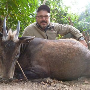 Yellow-Backed Duiker hunted in Central Africa with Club Faune