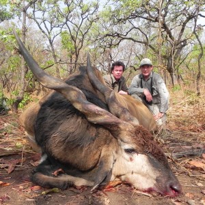 Lord Derby Eland hunted in Central Africa with Club Faune