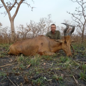 Lelwel Hartebeest hunted in Central Africa with Club Faune