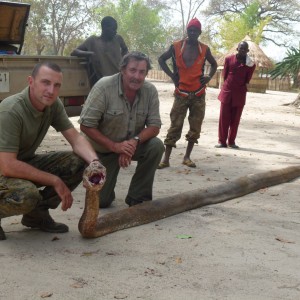 Python hunted in Central Africa with Club Faune