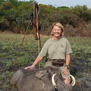 Warthog hunted in Central Africa with Club Faune