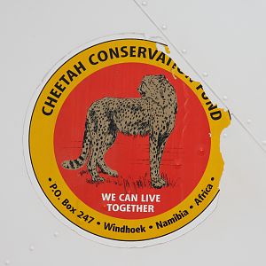 Cheetah Conservation Fund