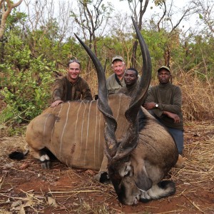 Huge Lord Derby Eland hunted in CAR with PH Francois Guillet