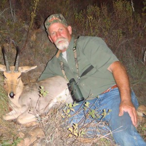 Reedbuck