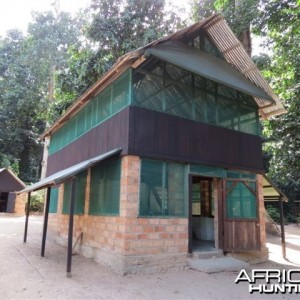 Hunting camp in Congo