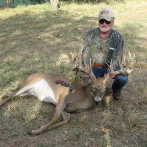 308 whitetail