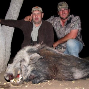 8,5 inch BUSHPIG