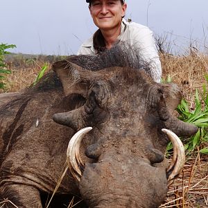 Warthog hunted in CAR